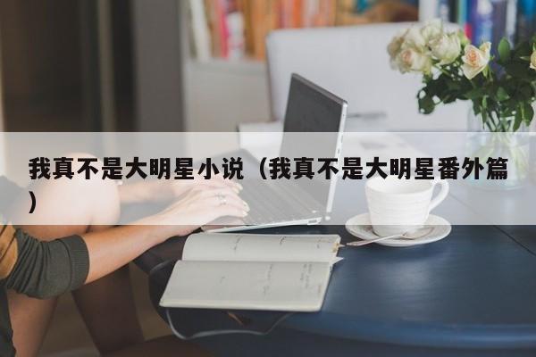 我真不是大明星小说（我真不是大明星番外篇）