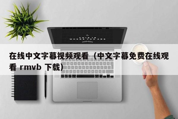 在线中文字幕视频观看（中文字幕免费在线观看 rmvb 下载）