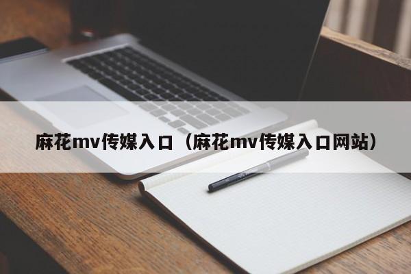 麻花mv传媒入口（麻花mv传媒入口网站）